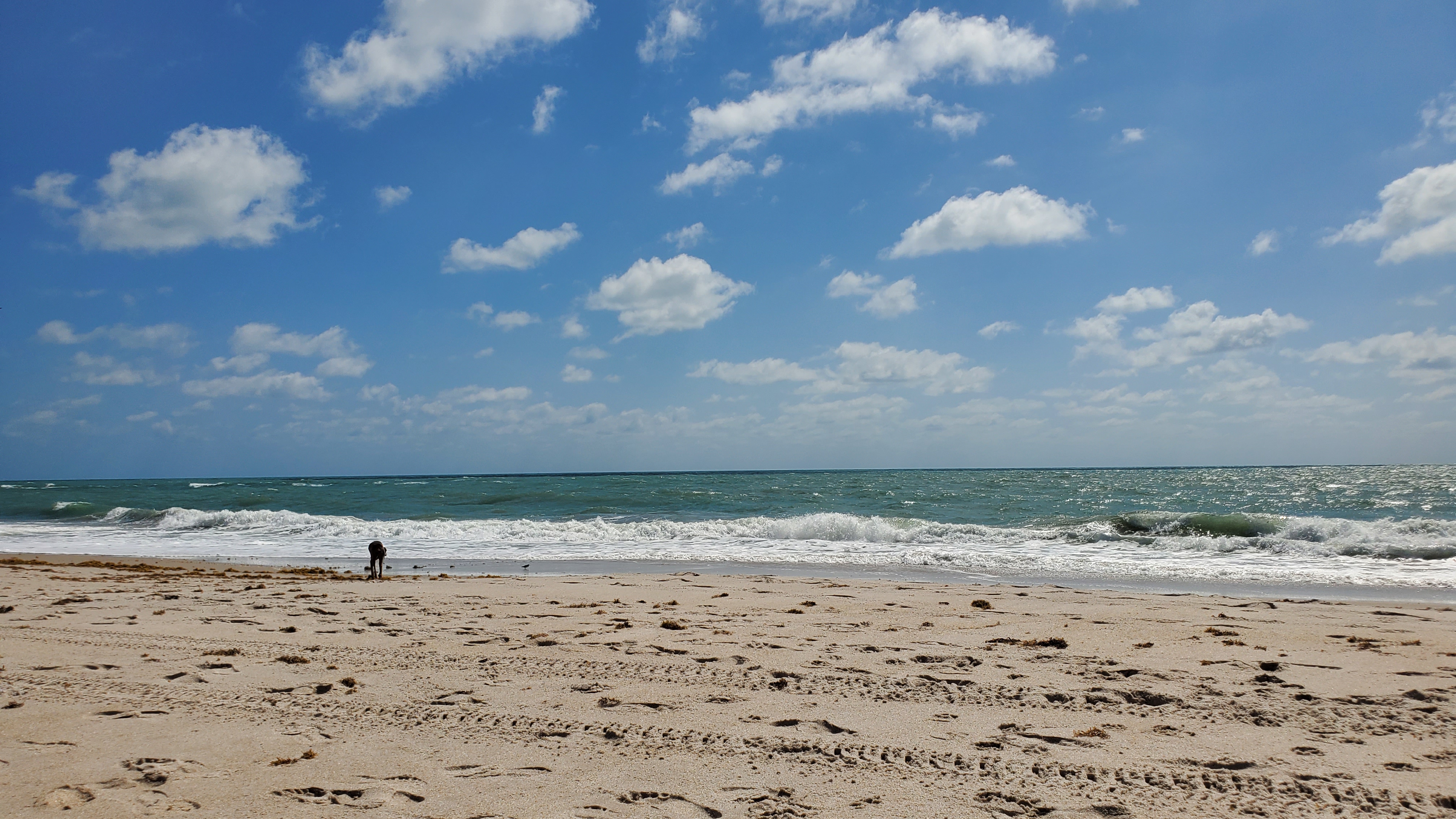 Pepper Park Beach in Fort Pierce, Florida